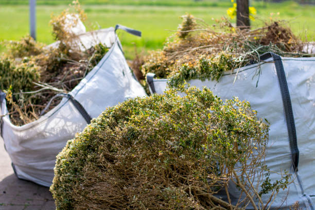  Laguna Park, TX Junk Removal Services Pros
